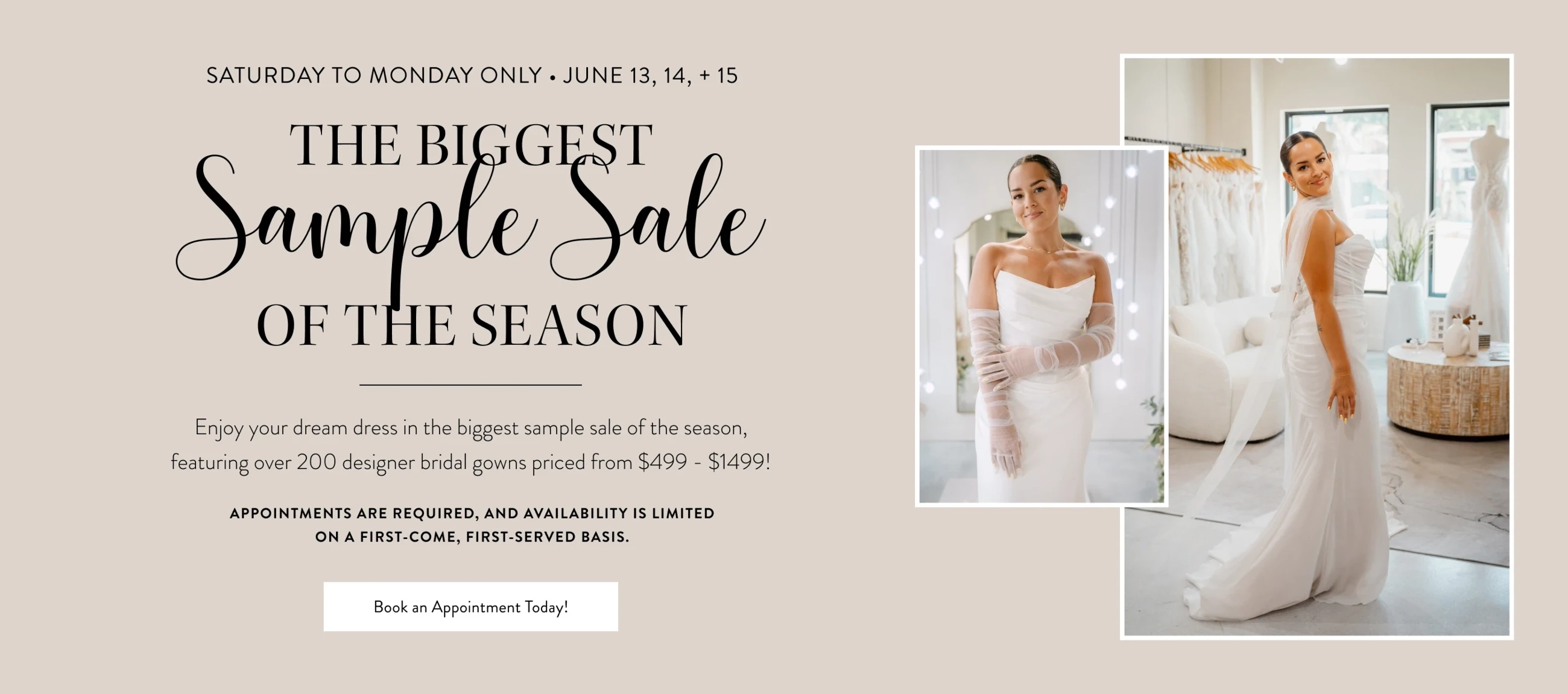 Sample Sale Banner